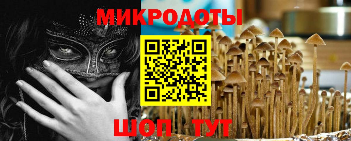 Липецк  Псилоцибиновые грибы прущие грибы  Вход с VPN 